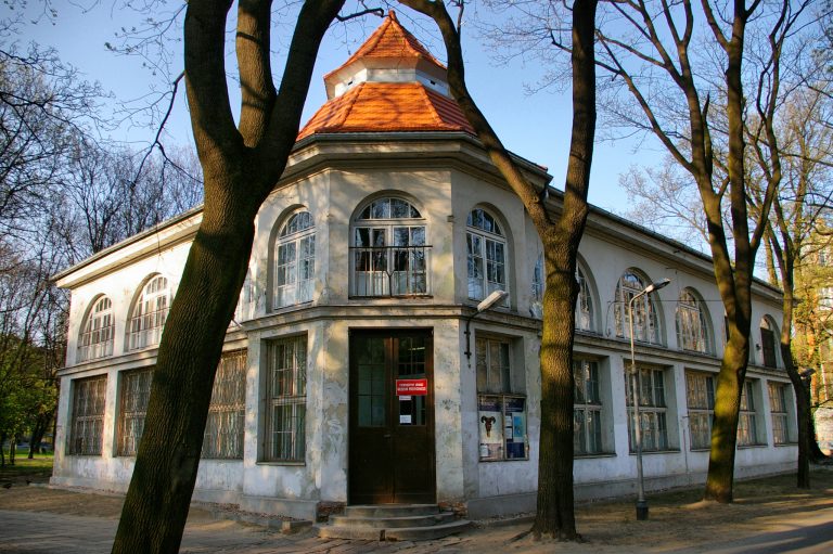 Zmodernizowane Muzeum Przyrodnicze w Łodzi prezentuje historię życia na Ziemi