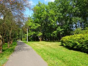 Największy w Krakowie park będzie miał staw i plażę