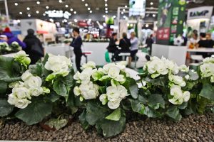 Forum Miejska Sztuka Ogrodowa otworzy targi Gardenia 2019