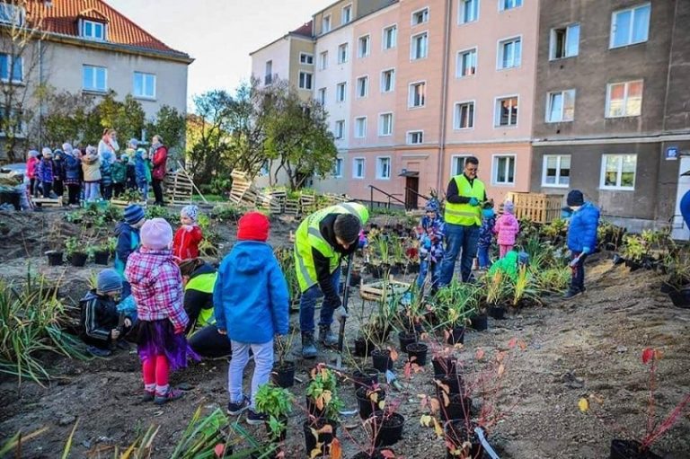 Skąd wziąć pieniądze na adaptację do zmian klimatu?