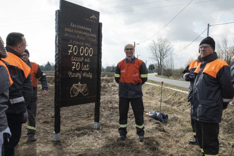 Las z 70 tysiącami drzew pojawi się w krakowskiej Nowej Hucie