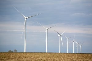 W Stoczni Gdańsk powstanie 14 wież wiatrowych