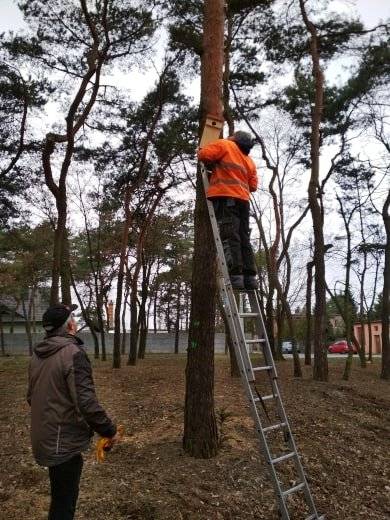 Parki w Jarocinie gotowe na zwierzęta