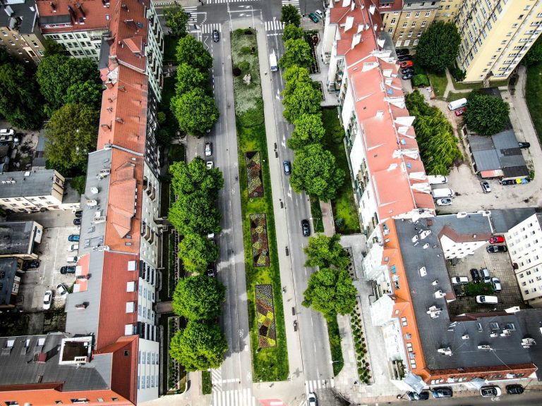 Szczecin tonie w kwiatach [ZDJĘCIA]