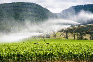 Woda z odzysku może pomóc polskim rolnikom