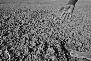 Wody Polskie i samorządowcy przeciwdziałają skutkom suszy