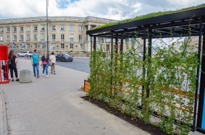 Zielone przystanki w Białymstoku już dostępne