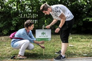 Nowe lokalizacje ławek w stolicy wskazali mieszkańcy