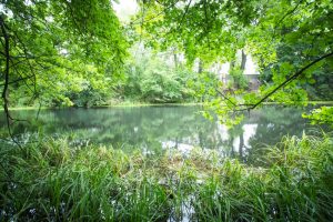 Wrocławski Park Czarna Woda odzyska dawny blask