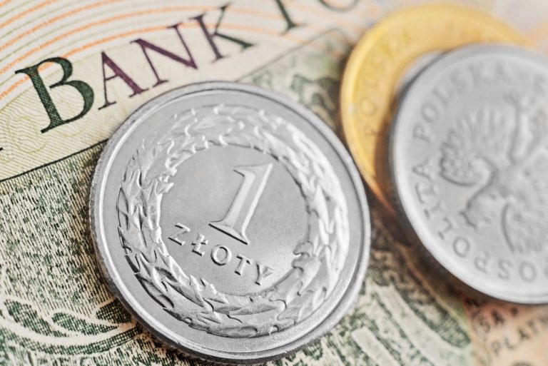 Ponad 1 mln zł na eko-inicjatywy z NFOŚiGW