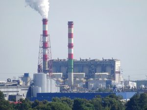 Ekolodzy zadowoleni, że w Ostrołęce nie powstanie elektrownia opalana węglem