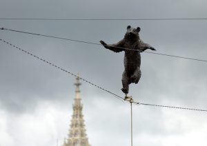 Niedźwiadki na ulicach i placach Białegostoku