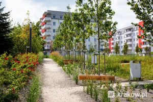 Miasto wybudowało park, o którym marzyli mieszkańcy [ZDJĘCIA]