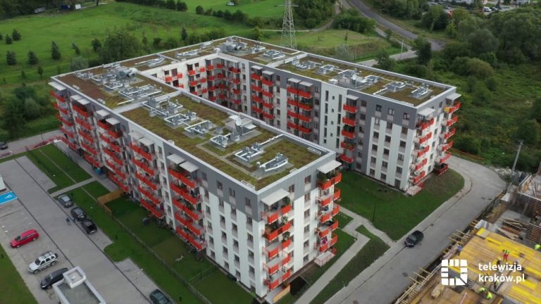 Zielone dachy ustandaryzowane przez miasto. Kraków chce tak walczyć ze smogiem