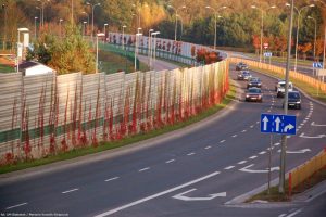 Białystok porastają pnącza
