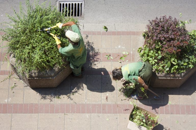 Kolejne miasta w Polsce stawiają na miejskich ogrodników