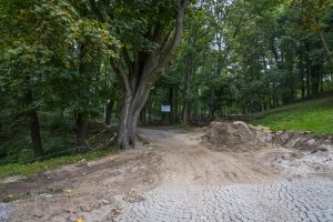 Gorzowski Park Siemiradzkiego wraca do świetności [ZDJĘCIA]