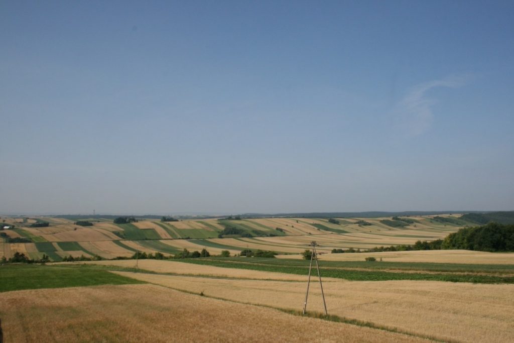 Drugi nabór wniosków w programie 