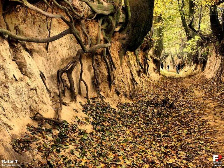 Betonoza dotarła do Kazimierza Dolnego