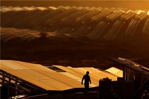 Hiszpanie oddają do użytku największą farmę PV w Europie