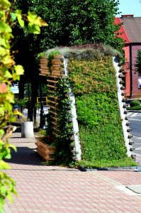 W Katowicach powstanie ogród sensoryczny i zielone przystanki