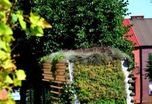 W Katowicach powstanie ogród sensoryczny i zielone przystanki