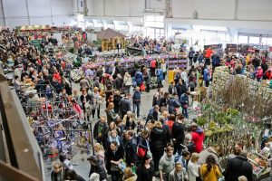 Gardenia 2020 od czwartku w Poznaniu. Zieleń, sprzęt i ogrodnictwo