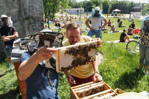 Miejskie pszczoły z Katowic zbierają nektar z 50 różnych roślin