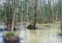 Rząd planuje rozszerzenie opłat za wstęp do parków narodowych