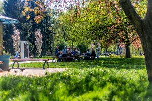 W Gdyni powstanie 9 parków kieszonkowych