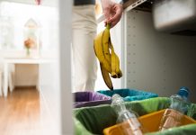 11 maja obchodzimy Dzień bez śmiecenia. Segregacja i ograniczanie odpadów mają duże znaczenie
