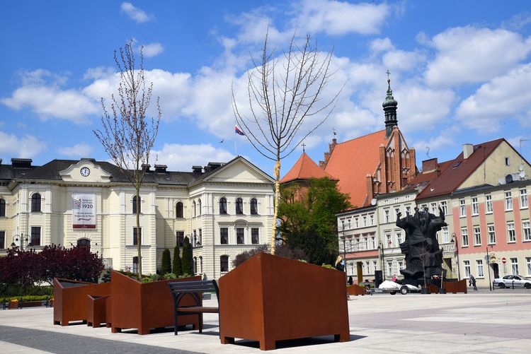 Więcej zieleni na rynku w Bydgoszczy