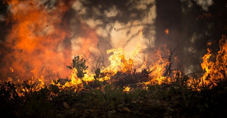 5 mln zł dla Biebrzańskiego Parku Narodowego. Sytuacja jest poważna