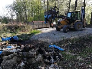 Ponad 2 tony odpadów poubojowych trafiło do lasu