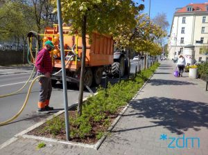 Podlewają tereny zieleni w obawie przed suszą