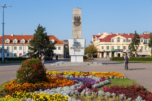 Włocławek: rewitalizacja i nowe nasadzenia