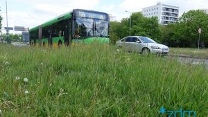 Kontrowersyjne koszenie. ZDM wyjaśnia