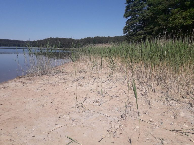 Woda zniknęła z jeziora. Katastrofa ekologiczna czy legalne działania?
