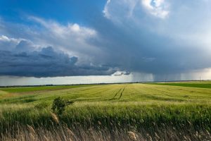 Rolnicy zaniepokojeni propozycjami władz Europy w sprawie Zielonego Ładu