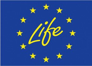 28 mln euro dla Polski z programu LIFE na ochronę środowiska