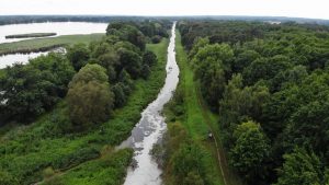 Katastrofa ekologiczna na rzece Barycz