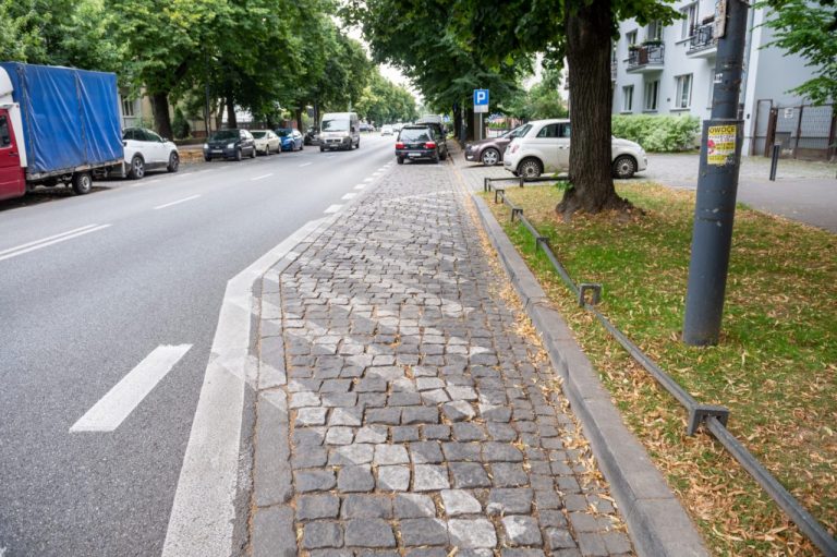 Warszawa. Zamiast betonu i kostki będą rośliny i ogrody deszczowe