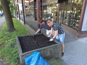 Katowice sieją łąki kwietne w niewykorzystanych donicach miejskich