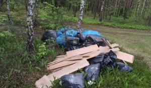 Woś: prace nad surowszym karaniem śmiecących w lasach są bardzo zaawansowane