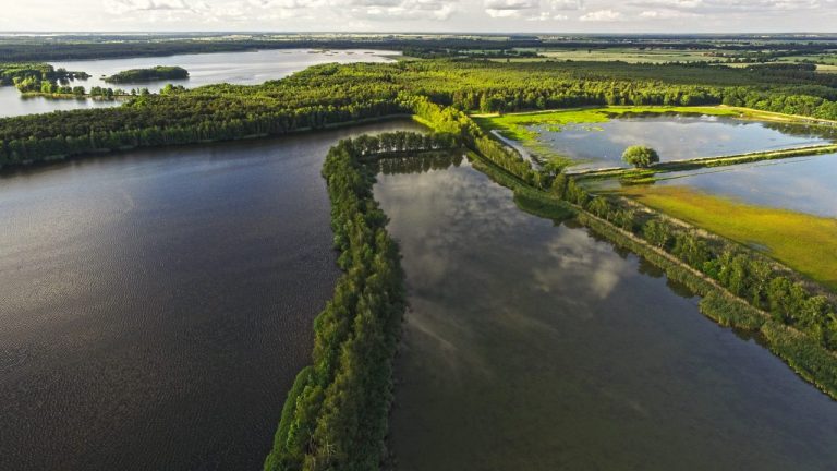 Katastrofa ekologiczna na Baryczy. Zrzucą czystą wodę ze stawów, aby usunąć zanieczyszczenia