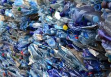 Czy świat uwolni się od plastikowych śmieci? Opracowano enzym, który z łatwością rozkłada plastik