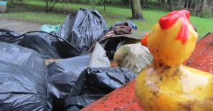 Mieszkańcy sprzątają śmieci. Miasto wznawia akcję opóźnioną przez koronawirusa