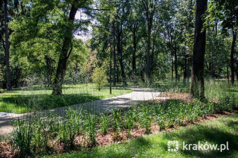 220 drzew, 8 tys. krzewów i 29 tys. bylin. Prace w Parku Jerzmanowskich w Krakowie dobiegają końca