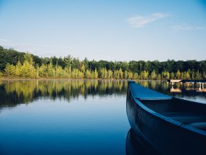 Tysiące naukowców apeluje o ochronę wód powierzchniowych