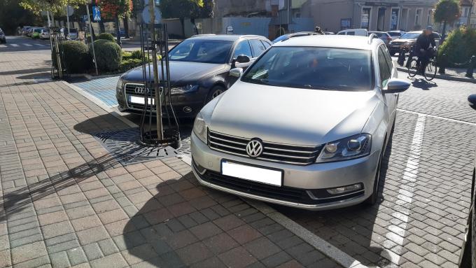 Posadzili drzewa, nie zabierając miejsc do parkowania i chodnika